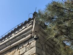 -白水寺森林公园
