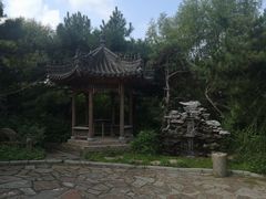 -爱新觉罗皇家博物院