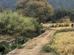 -塔川景区