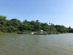 -东寨港红树林旅游区