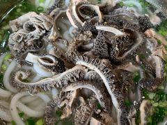 羊杂米粉-攀枝花·任德琼·盐边羊肉米线