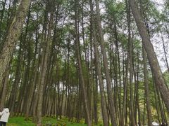 -硗碛藏寨·神木垒景区