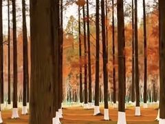 -黄海国家森林公园