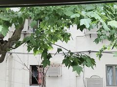 -TonTon(永康路店)