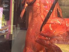 -黄连大头华烧鹅店(大良店)