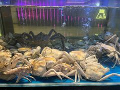 -南海渔村(珠江新城店)