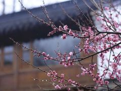 -浙江西湖美术馆