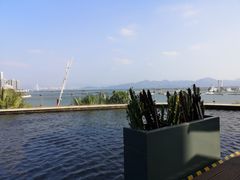 -希尔顿南海酒店·观廊大堂吧·海景下午茶