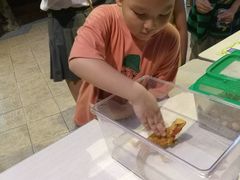 -上海大自然野生昆虫馆(东方明珠·爬宠昆虫探索中心)