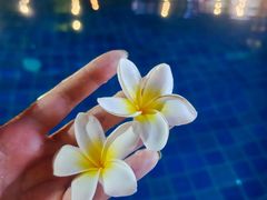 -三亚海棠湾万丽度假酒店