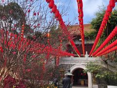 -宝莲禅寺