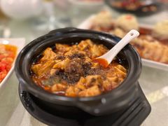 陈麻婆豆腐-陈麻婆豆腐(春熙店)