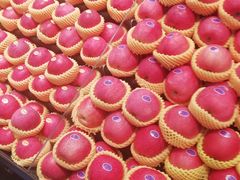 -大龙山(地铁站)