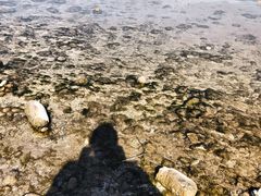 -西昌邛海湿地