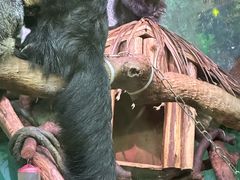 -广州长隆野生动物世界