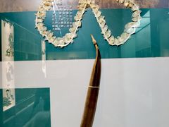 -天津自然博物馆