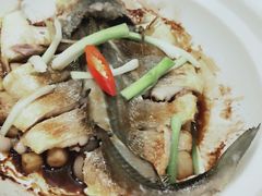 -锦粤宫·精致粤菜(深圳北站店)