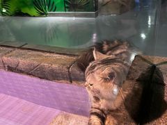 -顺德南宏海立方海洋公园