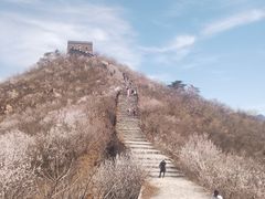-龙泉峪长城