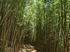 -井空里大峡谷
