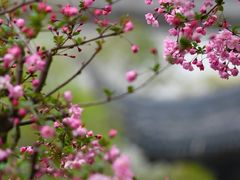 -江宁织造博物馆