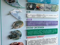 -北海金海湾红树林生态旅游区