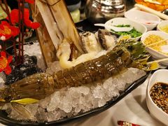 -鲜入围煮花胶鸡海鲜火锅