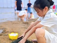 -碧海金沙