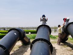 -南汇嘴观海公园