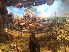 -陕西自然博物馆