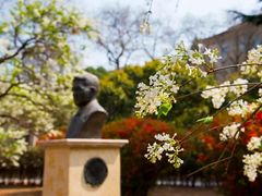 -山东大学(趵突泉校区)