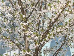 -七宝老街-闵行市民文化广场