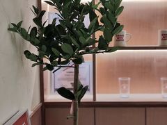 -The Roastery By AllYouWant(福田店)