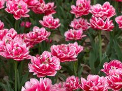 -玄武湖景区-情侣园游乐场