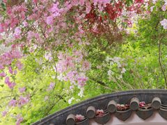 -深圳国际园林花卉博览园