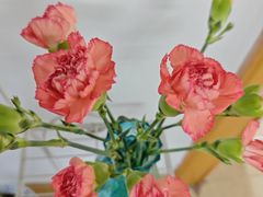 -盒马鲜生(馥邦国际店)