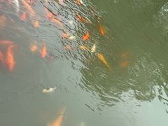 -嘉北郊野公园