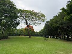 -顺峰山公园