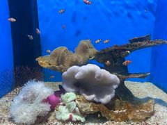 -福州罗源湾海洋世界旅游区