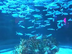 -正佳极地海洋世界