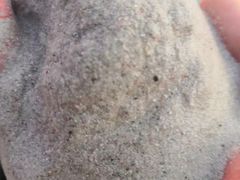 -白沙滩