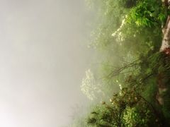 -大明山自然探索公园