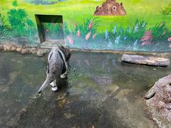 -常州淹城野生动物世界