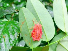 -青龙山国家森林公园