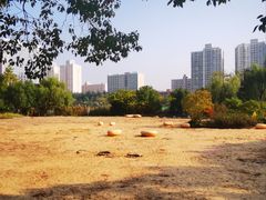 -黄兴公园
