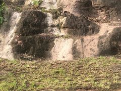 -广州七星岗古海岸遗址科学公园