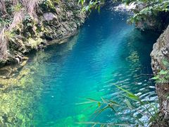 -南海湾森林生态园
