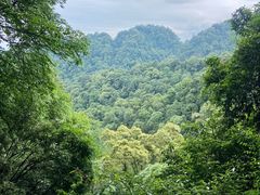 -青城山