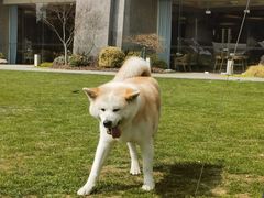 -天目湖涵田度假村