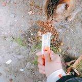 honeycare猫条测试